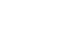 Geld Icon in weiß