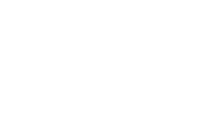 Team Icon in weiß