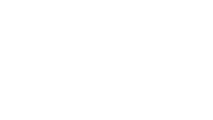Haus Icon in weiß