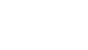 Icon in weiß